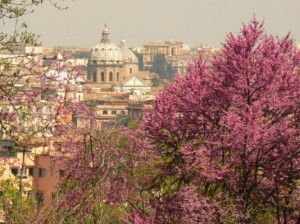 veduta di Roma in Primavera
